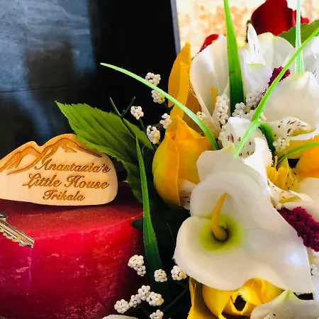 Casa vacanze Anastazia's Little House Synikia Mesi Trikalon