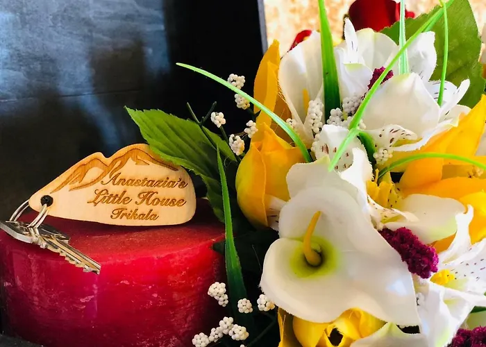 Tatil Evi Anastazia's Little House Synikia Mesi Trikalon